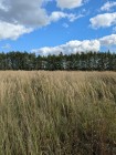 Продажа Ровный участок в старых Сокурах — фото 1