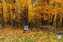 Продажа Уникальный дом со своим выходом в лес — фото 17