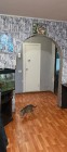 Продажа 3-комн. квартира, 64 м², 5/9 этаж — фото 2