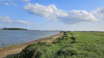 Продажа Дом в окружении леса! — фото 7