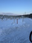 Продажа Ровный участок. — фото 10