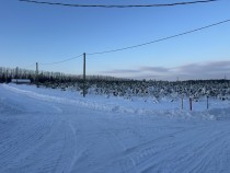 Продажа Ровный участок. — фото 13