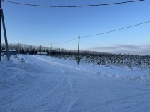 Продажа Ровный участок. — фото 14
