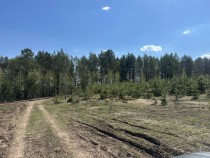 Продажа Ровный участок. — фото 3