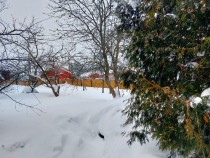 Продажа ПРОСТОРНЫЙ КИРПИЧНЫЙ ДОМ, ДЛЯ БОЛЬШОЙ СЕМЬИ. — фото 7