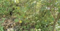 Продажа Участок в черте города! — фото 2
