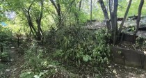 Продажа Участок в черте города! — фото 3