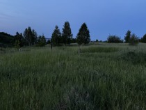 Продажа 8,3 га ИЖС у Волги - уникальное место в Ключищах! — фото 5