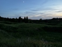 Продажа 8,3 га ИЖС у Волги - уникальное место в Ключищах! — фото 7