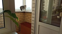 Продажа 3-комн. квартира, 76 м², 16/24 этаж — фото 15
