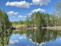 Продажа Земельный участок рядом с лесом и озером — фото 5