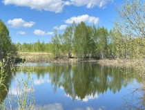 Продажа Земельный участок рядом с лесом и озером — фото 6