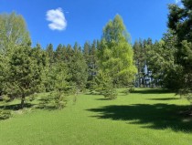 Продажа Земельный участок рядом с лесом и озером — фото 7