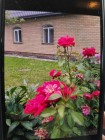 Продажа Капитальный 2этажный  дом из красного кирпича — фото 3