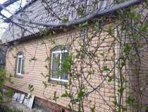 Продажа Капитальный 2этажный  дом из красного кирпича — фото 9