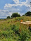 Продажа земля с видом на Свиягу — фото 3