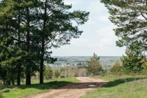 Продажа Комфортный дом в Новом Альдермыше! — фото 17