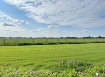 Продажа Участок 15 соток. Куюки — фото 2