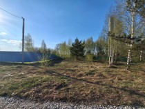 Продажа Тихое место у леса участок 12 сот ИЖС — фото 2