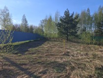 Продажа Тихое место у леса участок 12 сот ИЖС — фото 7