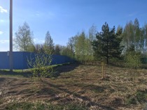 Продажа Тихое место у леса участок 12 сот ИЖС — фото 8