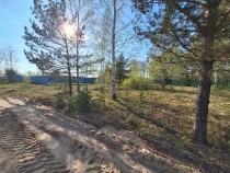 Продажа Тихое место у леса участок 12 сот ИЖС — фото 9