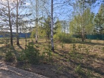 Продажа Тихое место у леса участок 12 сот ИЖС — фото 10