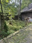 Продажа Дом у леса с камином и гаражом — фото 29