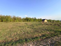 Продажа Широкий участок у леса — фото 2