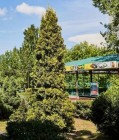 Продажа участок ИЖС 8,3 сот со всеми коммуникациями — фото 5