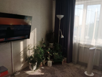 Продажа студия, 1-комн. квартира, 29 м², 2/5 этаж — фото 3