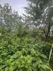 Продажа Идеальный участок для постройки дома! — фото 4