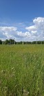 Продажа Генпланом поселка предусмотрена школа, детский сад — фото 5