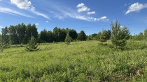 Продажа Участок с перспективой на будущее! — фото 3