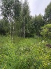 Продажа Участок в городе — фото 2