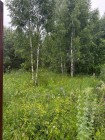Продажа Участок в городе — фото 3