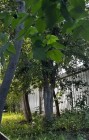 Продажа ДОМИК У ВОДЫ В ГОРОДЕ с участком 5 сот — фото 5