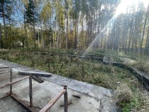 Продажа Ваша лесная сказка — фото 8
