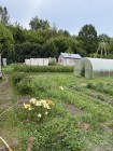 Продажа ИДЕАЛЬНЫЙ УЧАСТОК 12,6 СОТОК (35х36) В В. ГОРЕ! — фото 3