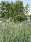 Продажа земельный  участок с готовой баней — фото 3