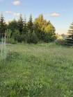 Продажа земельный  участок с готовой баней — фото 1