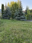 Продажа земельный  участок с готовой баней — фото 4