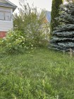 Продажа земельный  участок с готовой баней — фото 6