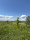 Продажа Земельный участок рядом с лесом — фото 4