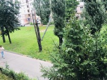 Продажа 2-комн. квартира, 44 м², 2/5 этаж — фото 1