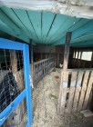 Продажа Уютный дом с хозяйством и баней у реки Свияга — фото 20