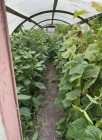 Продажа Уютный дом с хозяйством и баней у реки Свияга — фото 30