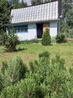 Продажа Дача с соснами — фото 1