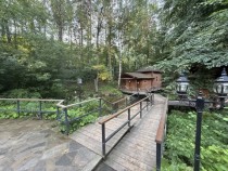 Продажа Ровный квадратный участок 10 соток с забором — фото 7