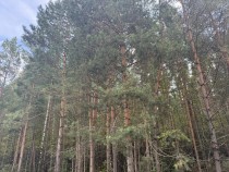 Продажа Ровный квадратный участок 10 соток с забором — фото 20